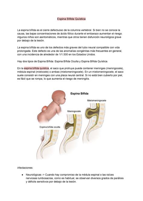 espina bífida guía de práctica clínica